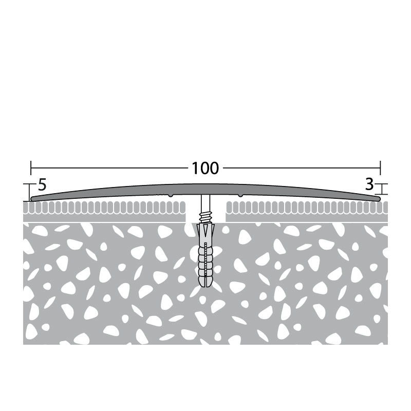 PRINZ Übergangsprofil Nr. 119, 100 mm, 500 cm, silber
