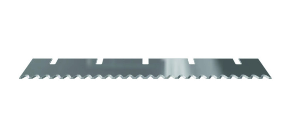 Wolff Strippermesser Sägezahnung für Turbo Stripper 350 x 60 x 1,5 mm Wolff Strippermesser Sägezahnung für Turbo Stripper 350 x 60 x 1,5 mm